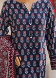 Nayab by HZ Textiles Printkari Embroidered Lawn Suit Unstitched 3 Piece NPC- 05 Vol 05
