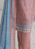 Nayab by HZ Textiles Printkari Embroidered Lawn Suit Unstitched 3 Piece NPC- 09 Vol 05
