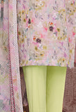 Dhagakari by HZ Textiles Embroidered Lawn Suit Unstitched 3 Piece DEC-596 - Summer Collection